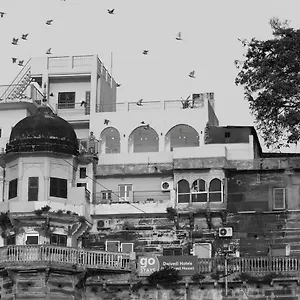 Dwivedi Elena Varanasi